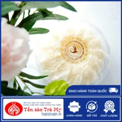 Tổ yến tự nhiên tinh chế xơ mướp 100gr